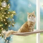Hamac pour chat