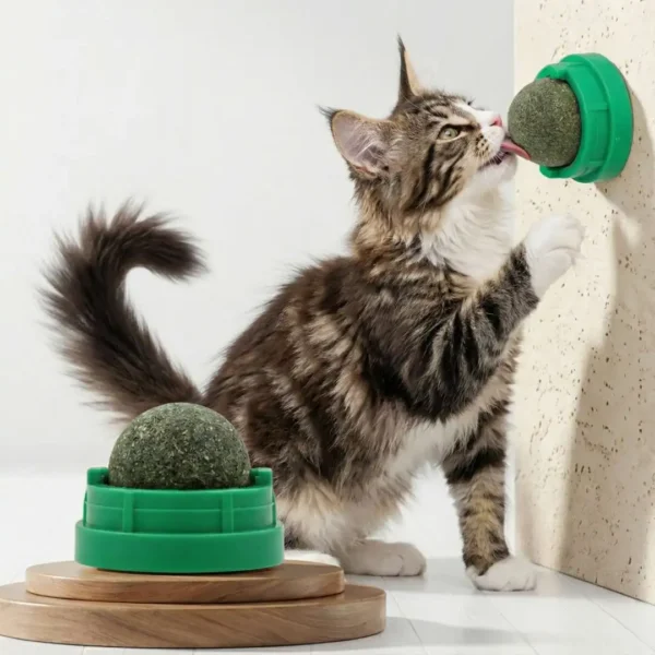 Boule Murale à Herbe à Chat (Cataire)