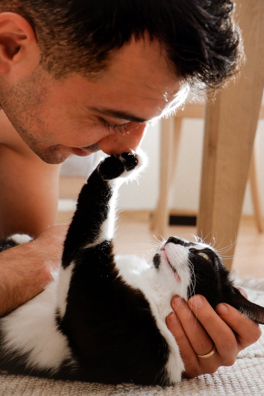 man playing with cat