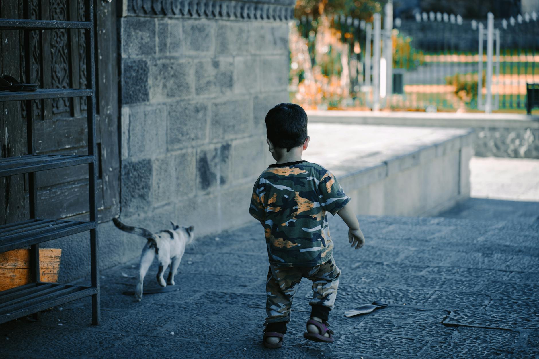little boy walking with a cat
