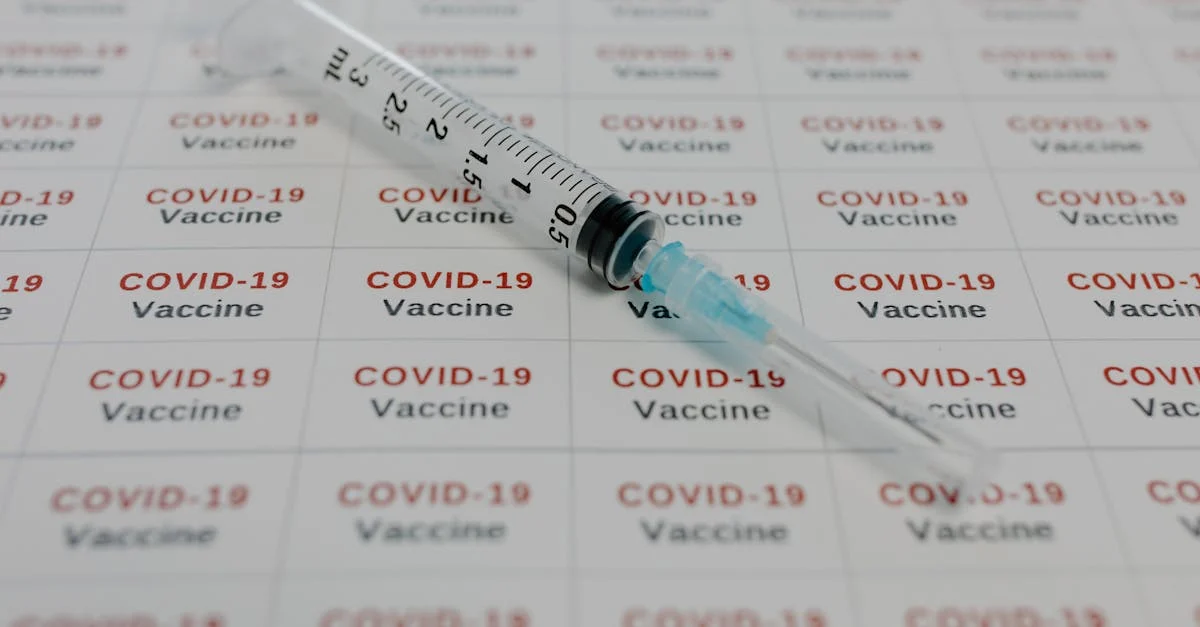 Quand vacciner mon chaton ? — Le guide ultime pour vacciner votre chaton