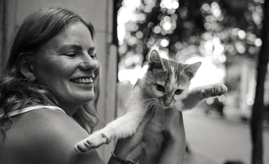 comment savoir si mon chat est heureux — comment savoir si mon chat est heureux