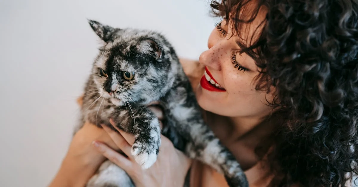 comment savoir si mon chat est heureux — Découvrez les signes révélateurs du bonheur chez votre chat